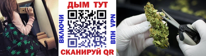 Виды наркотиков купить Торжок Alpha PVP  ОМГ ОМГ зеркало  MDMA  Канабис  АМФ 