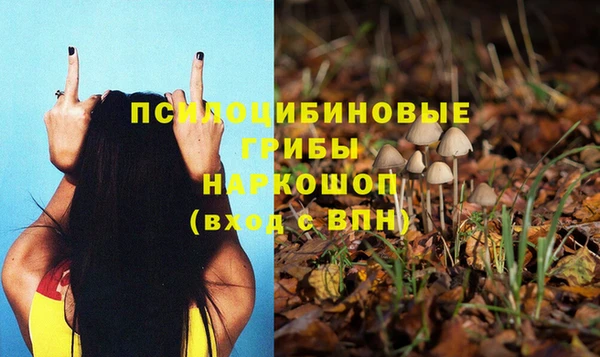 хмурый Навашино