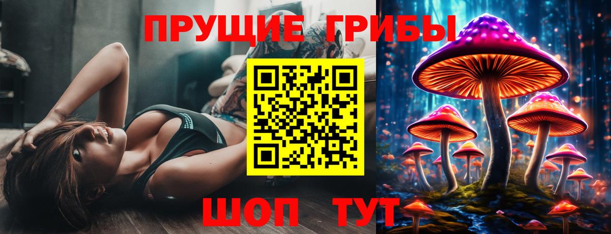 Псилоцибиновые грибы Cubensis Торжок