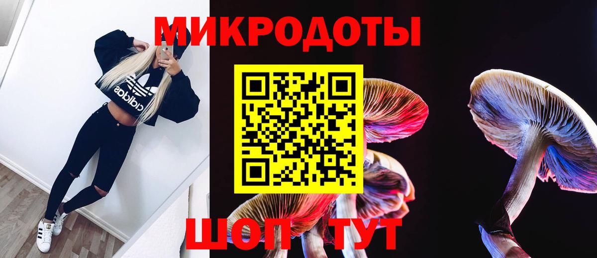 Торжок  Галлюциногенные грибы Cubensis  Вход с VPN 