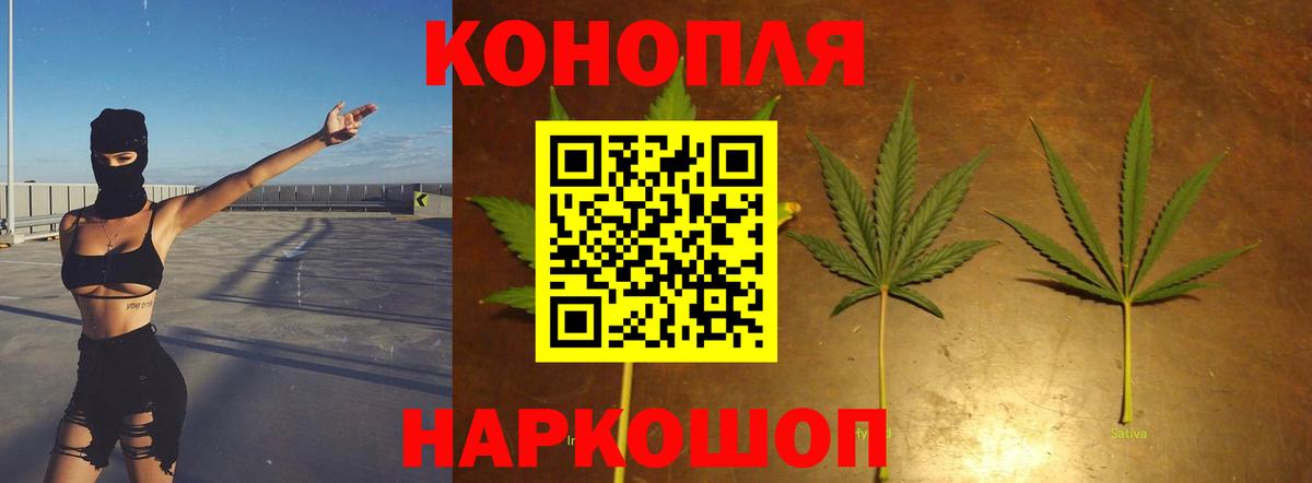 Бошки марихуана тримм Торжок